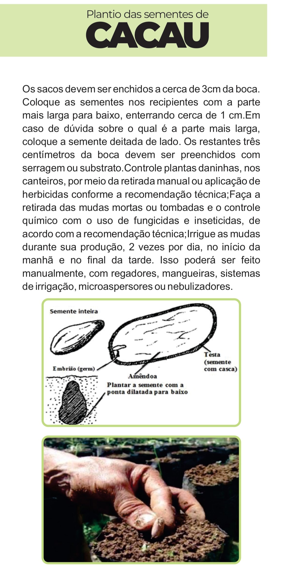 Imagem 5