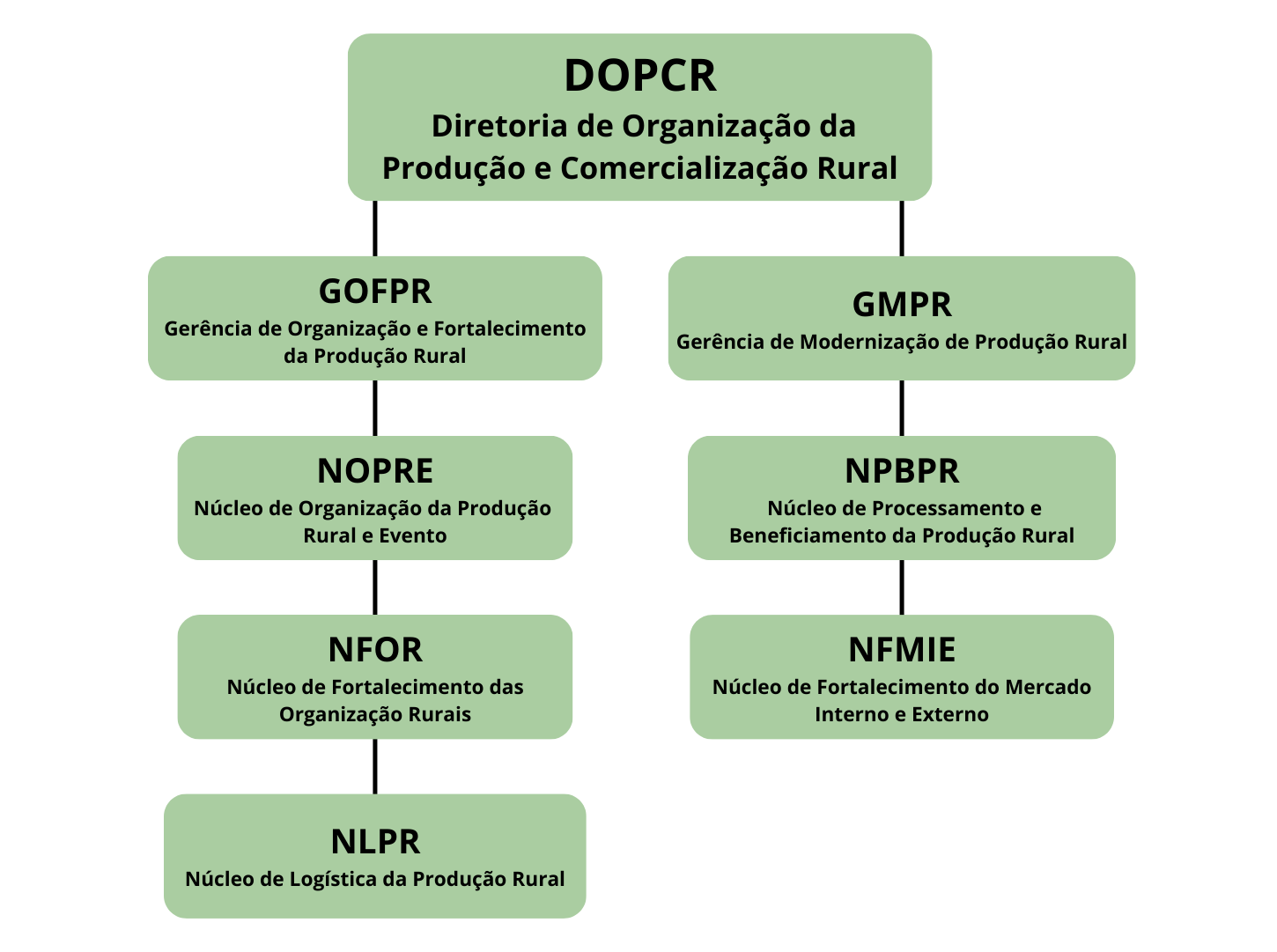 Organograma DOPCR