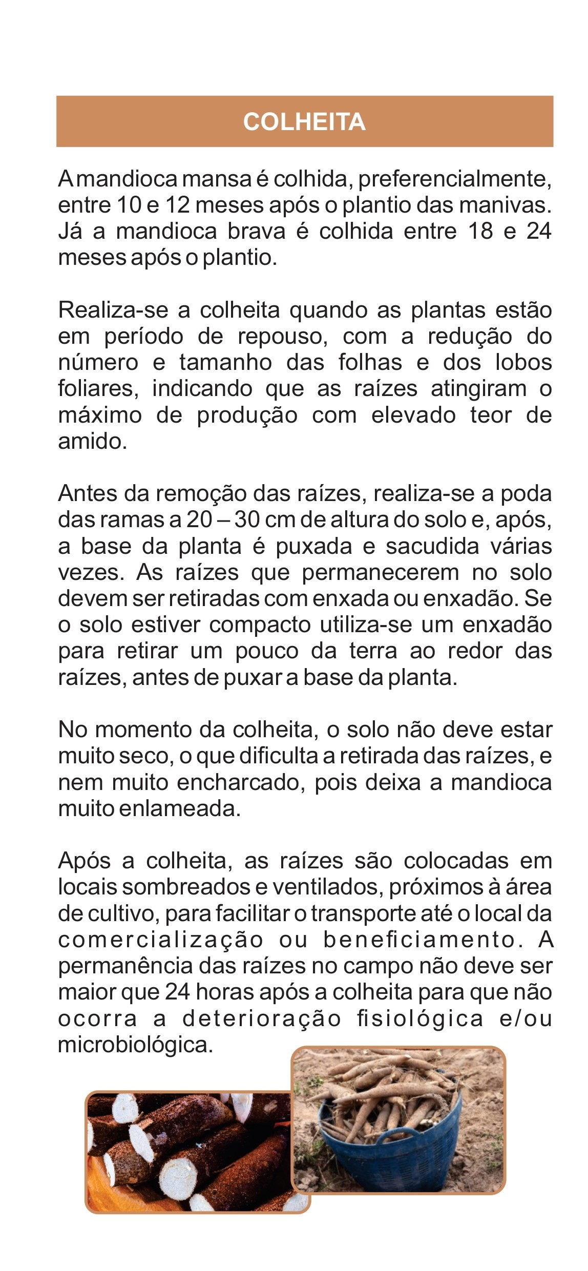 Imagem 6