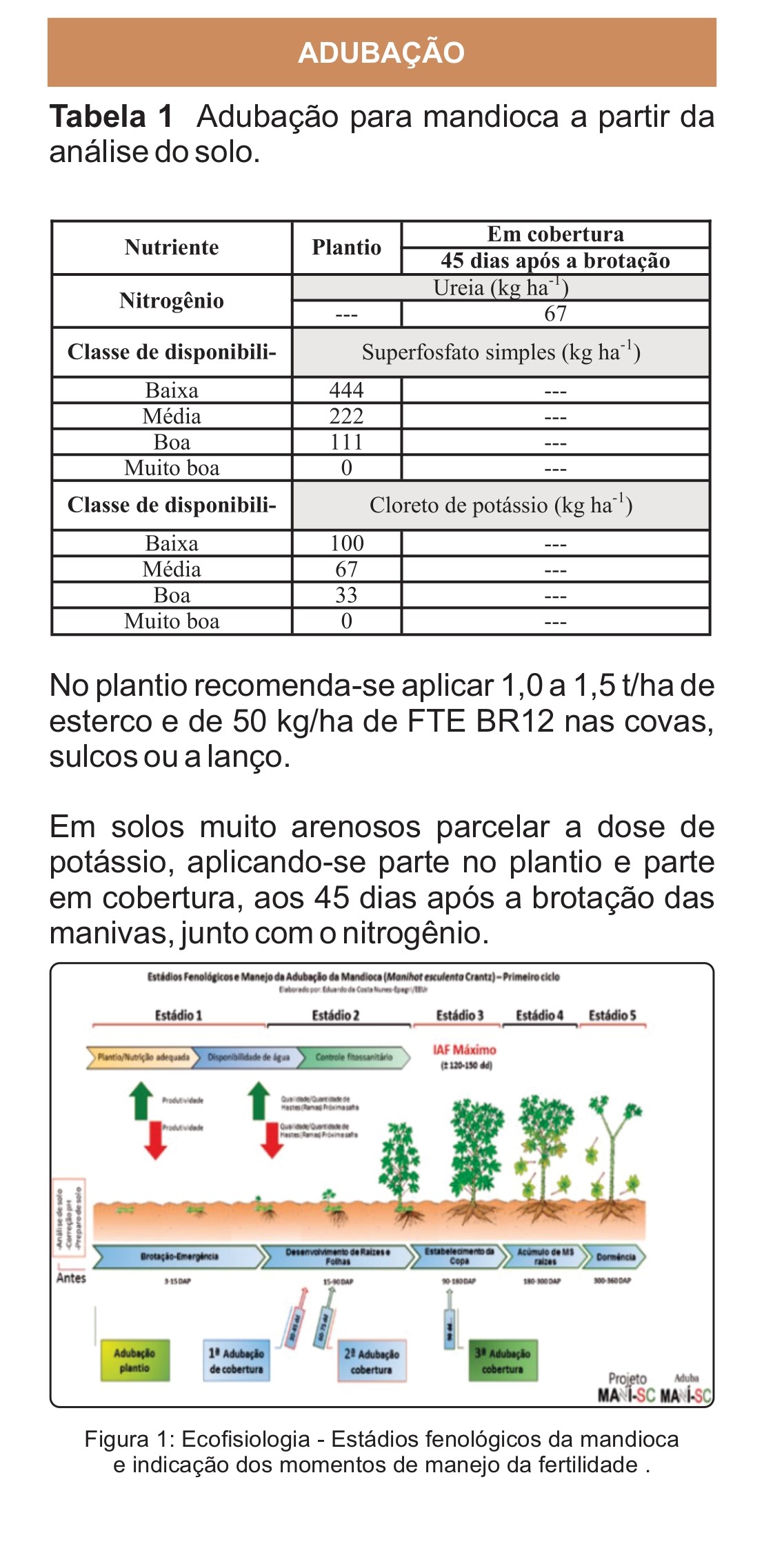Imagem 5