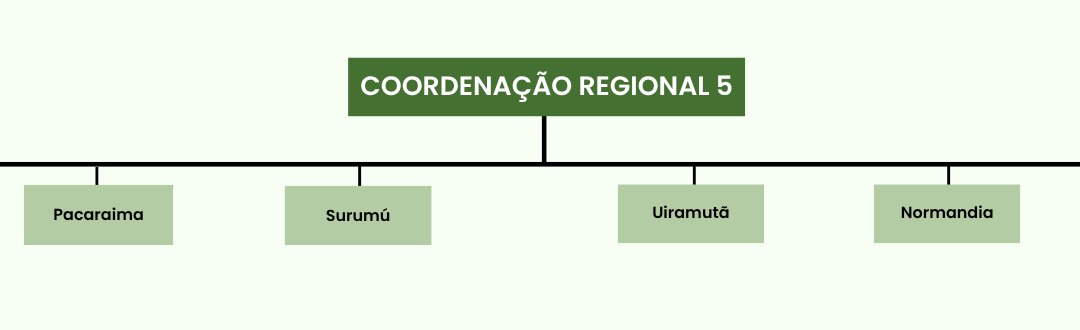 Organograma DATER