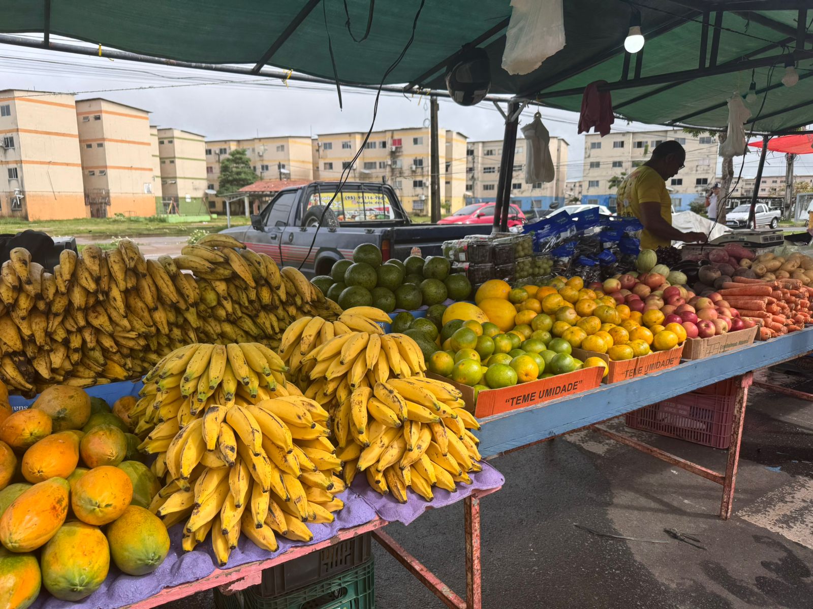 Galeria Feira 3