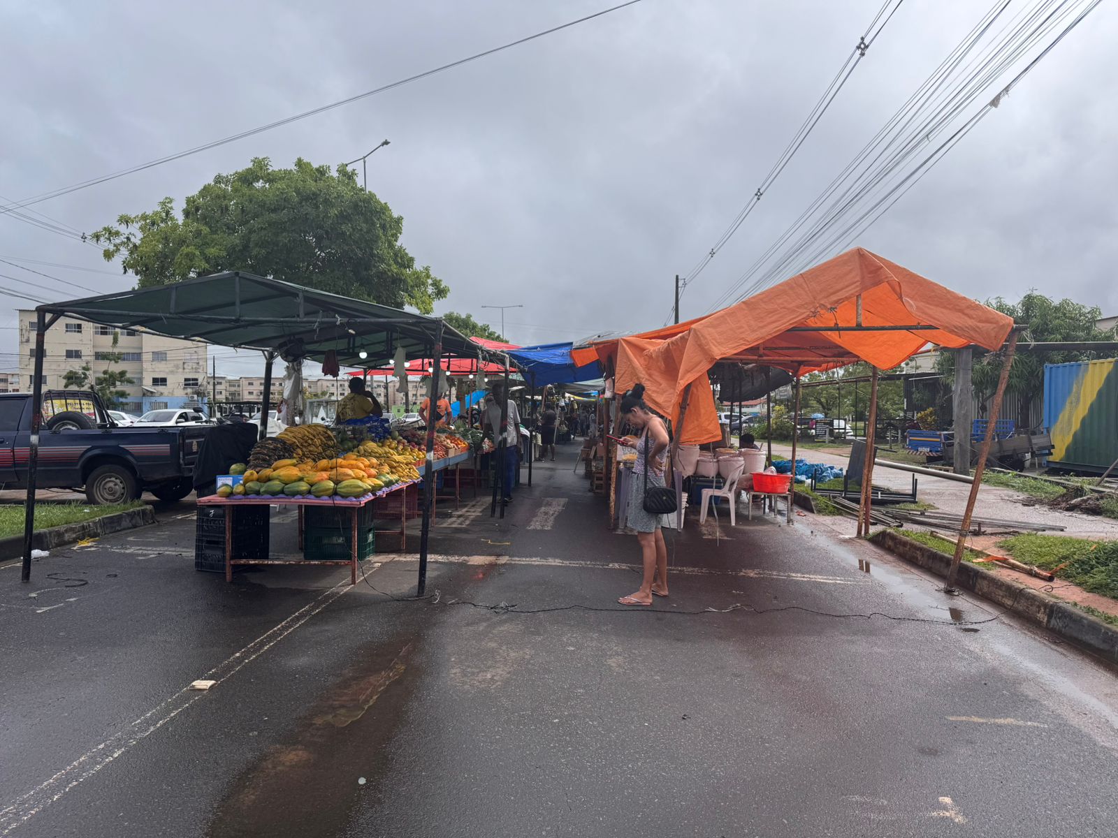 Galeria Feira 1