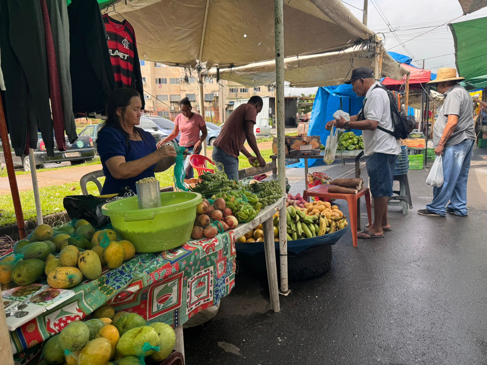 Galeria Feira 2